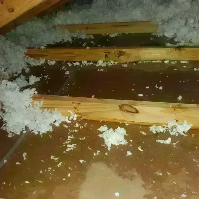 Attic Water Damage in Franksville, WI