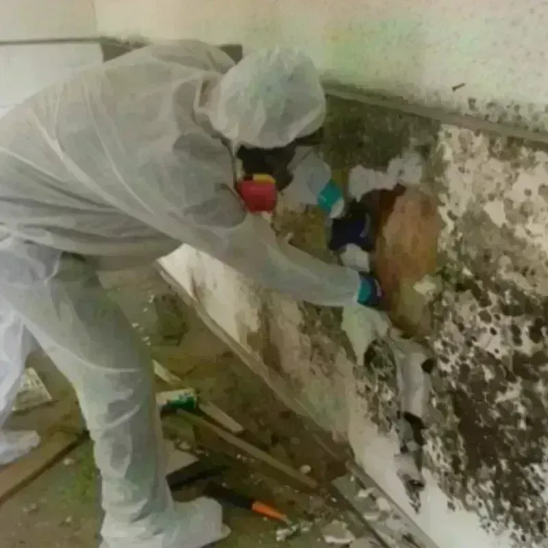 Mold Remediation and Removal in Franksville, WI